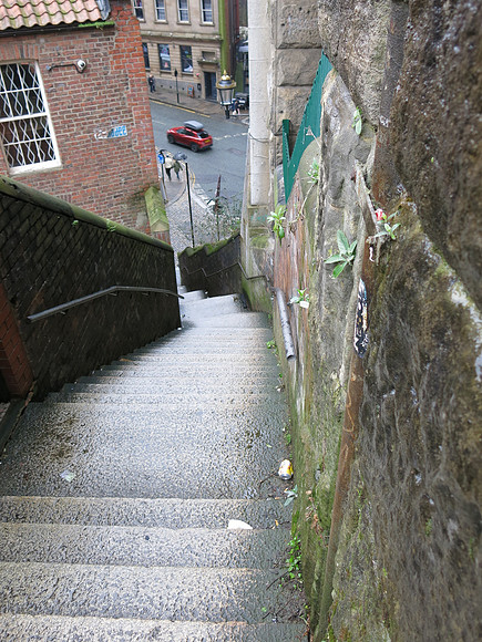 IMG_2354