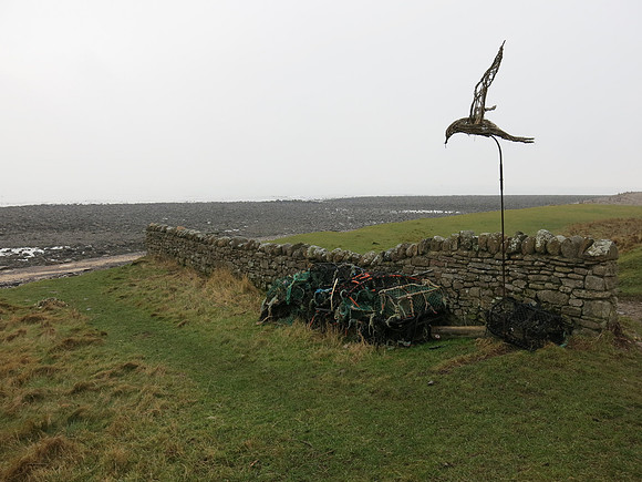 IMG_2586