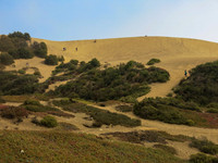 Chile Spring Break 2019-2487