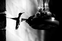 IMG_3364